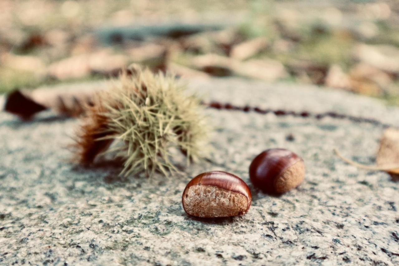 Bunanoyado Koase Aga Dış mekan fotoğraf